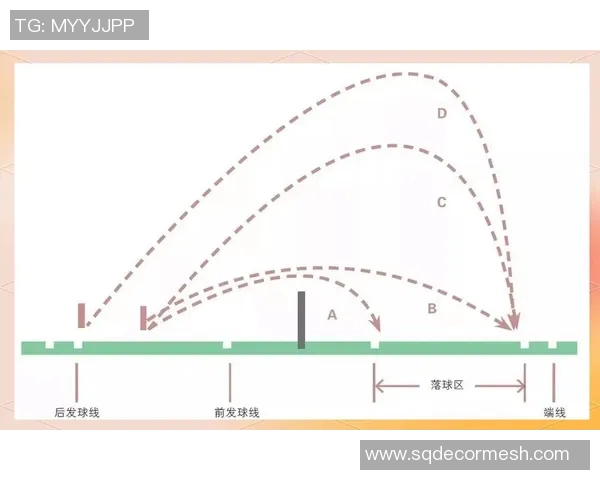 从零基础到高手之路羽毛球技巧与训练全方位指南