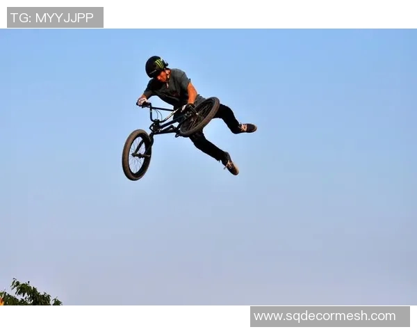 南京极限运动队意识形态的深度对比与发展趋势分析