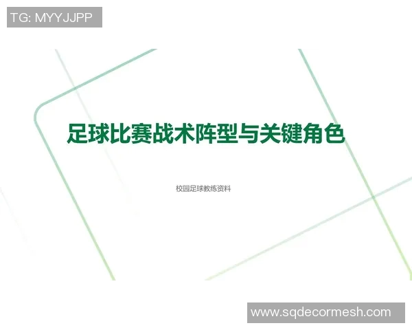 武汉足球队整体压制战术解析与实战应用探讨