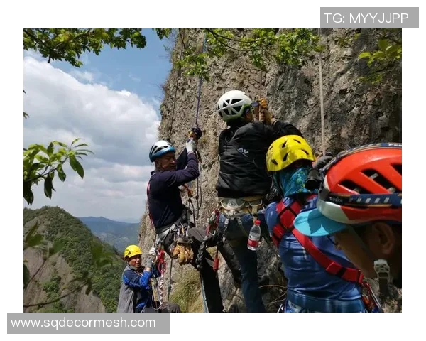 深入探讨北京攀岩队内部配合与外部竞争的差异与影响