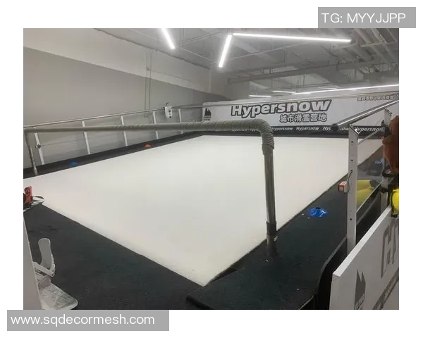 深圳滑板队引发的意识形态争论与滑板文化的未来发展探讨