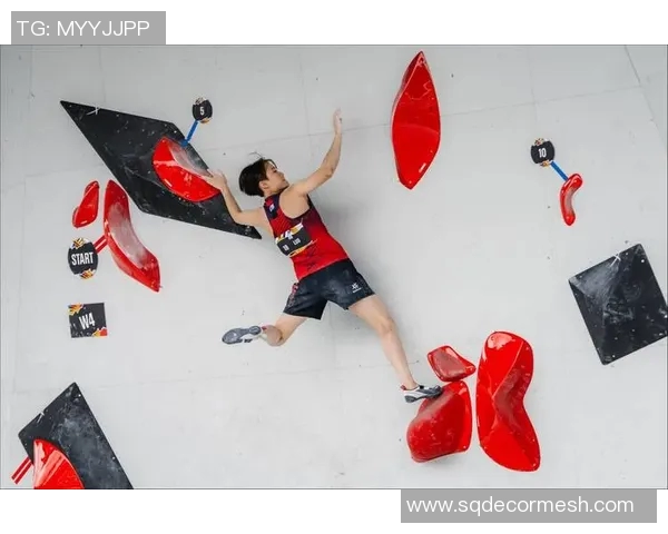 重庆攀岩队灵活性研究：探索攀岩运动中的适应与创新策略