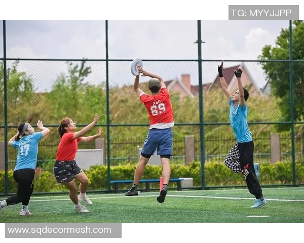 飞盘运动的魅力与挑战：深入探讨上海飞盘队的耐力训练与表现