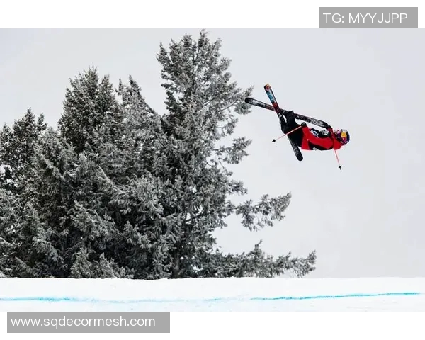 极限运动新手必看：快速掌握技巧与安全知识的全面指南