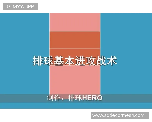 上海排球队进攻策略解析与战术创新的深度剖析 上海排球队进攻策略解析与战术创新的深度剖析