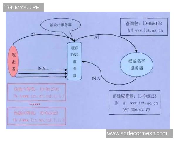 上海排球队的快速进攻与防守策略分析探讨 上海排球队的快速进攻与防守策略分析探讨